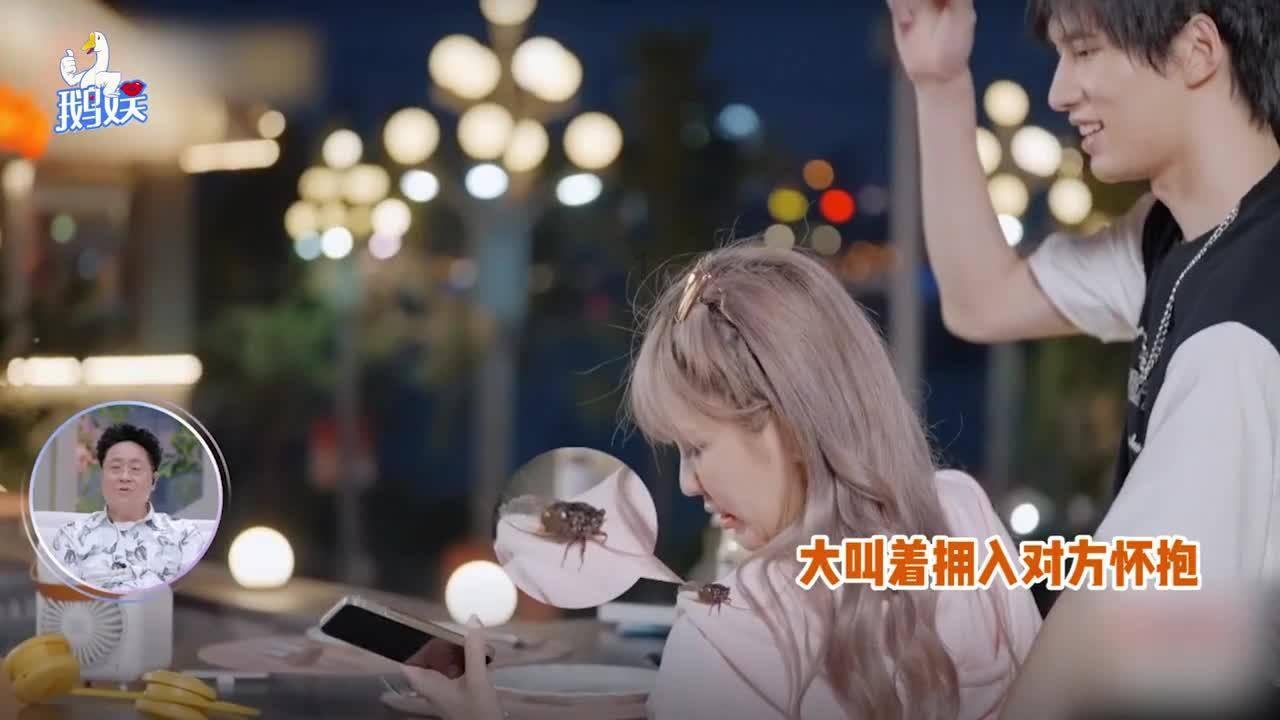 全民烧脑3去广告版